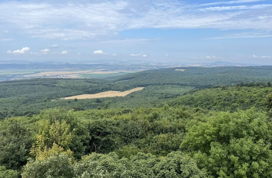 Budakeszi Arboretum, Hungary